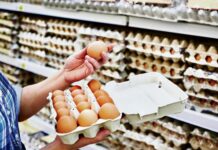 Označavanje konzumnih kokošjih jaja
