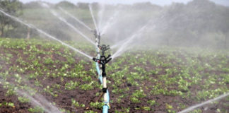 utjecaj vode na biljnu proizvodnju