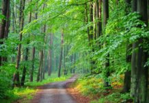 Natječaj za intervenciju 73.08. – obavijest potencijalnim korisnicima, projektantima i konzultantima