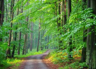 Natječaj za intervenciju 73.08. – obavijest potencijalnim korisnicima, projektantima i konzultantima