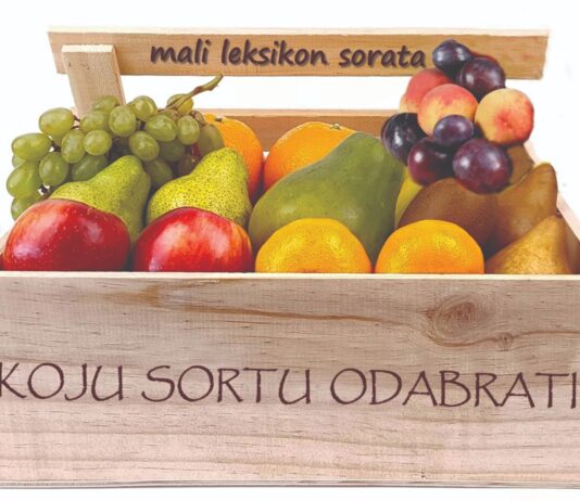 Dunja – koju sortu odabrati?