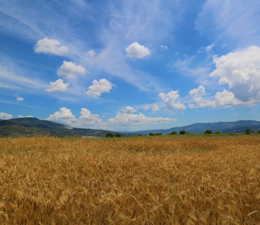 Objavljene odluke iz Programa kompenzacijske mjere potpore depopuliranim područjima za 2025. godinu