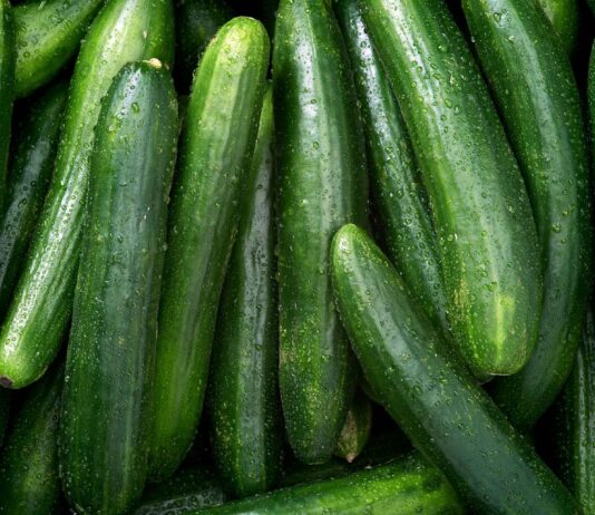 Krastavac - na mreži otvorena prostora