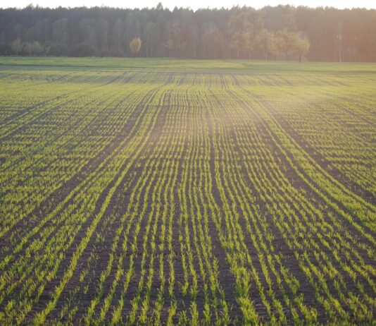 Javni poziv za potpore za provedbu proljetne sjetve/sadnje otvoren do 17. travnja