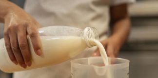 kumis fermentirano kobilje mlijeko