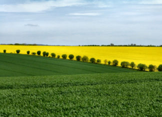 poljoprivreda poljske