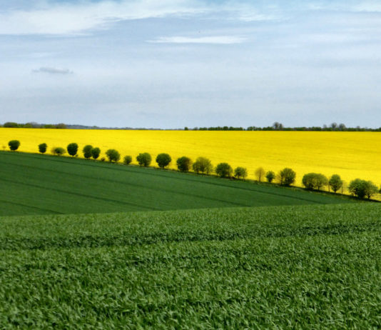 poljoprivreda poljske