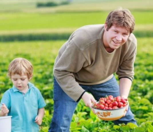 Poziv na natječaj za izbor najboljeg mladog poljoprivrednika izbor za najboljeg mladog poljoprivrednika