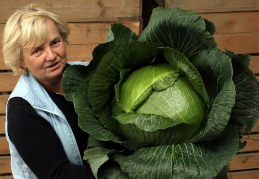 Izbor najinovativnije poljoprivrednice EU