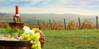 Martinje – najvažnija svečanost vina