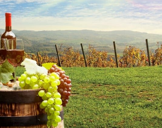 Martinje – najvažnija svečanost vina