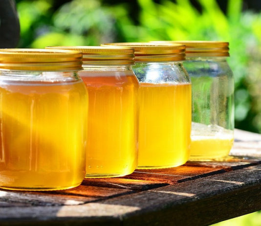 pčelaraska manifestacija dalmatina