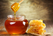 hrvatska samodostatna u proizvodnji meda