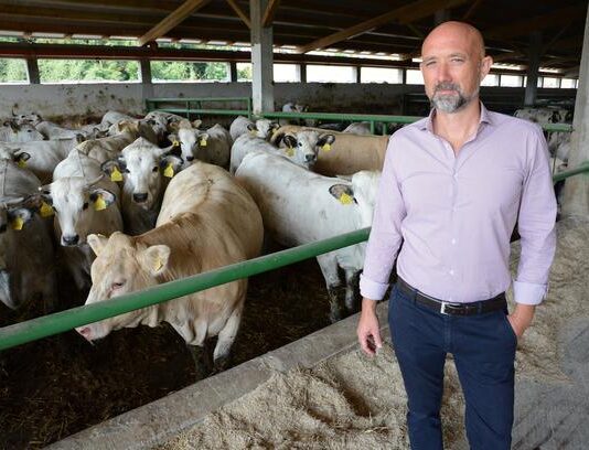 Tovno govedarstvo u velikim problemima radi korona krize!