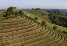 Eko regije – veliki potencijal ruralnog razvoja Hrvatske: predavanje u Majuru