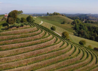 Eko regije – veliki potencijal ruralnog razvoja Hrvatske: predavanje u Majuru