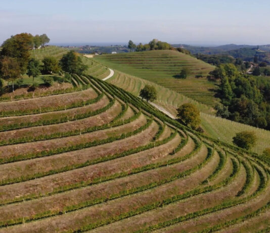 Eko regije – veliki potencijal ruralnog razvoja Hrvatske: predavanje u Majuru
