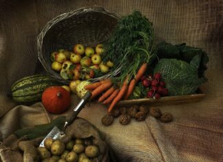 Obveza popunjavanja evidencija proizvodnje, prodaje i usluga OPG-a