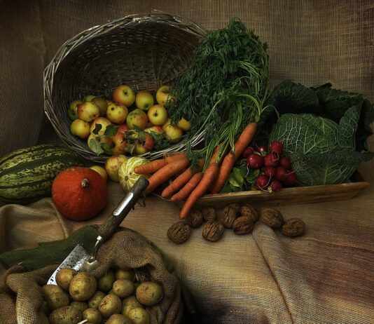 Obveza popunjavanja evidencija proizvodnje, prodaje i usluga OPG-a