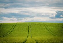 Zakup zemljišta i promjena vlasnika