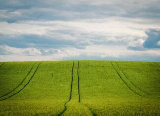 Zakup zemljišta i promjena vlasnika