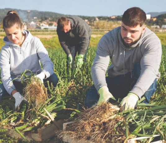 opstanak poljoprivrede mladi poljoprivrednici generacijska obnova