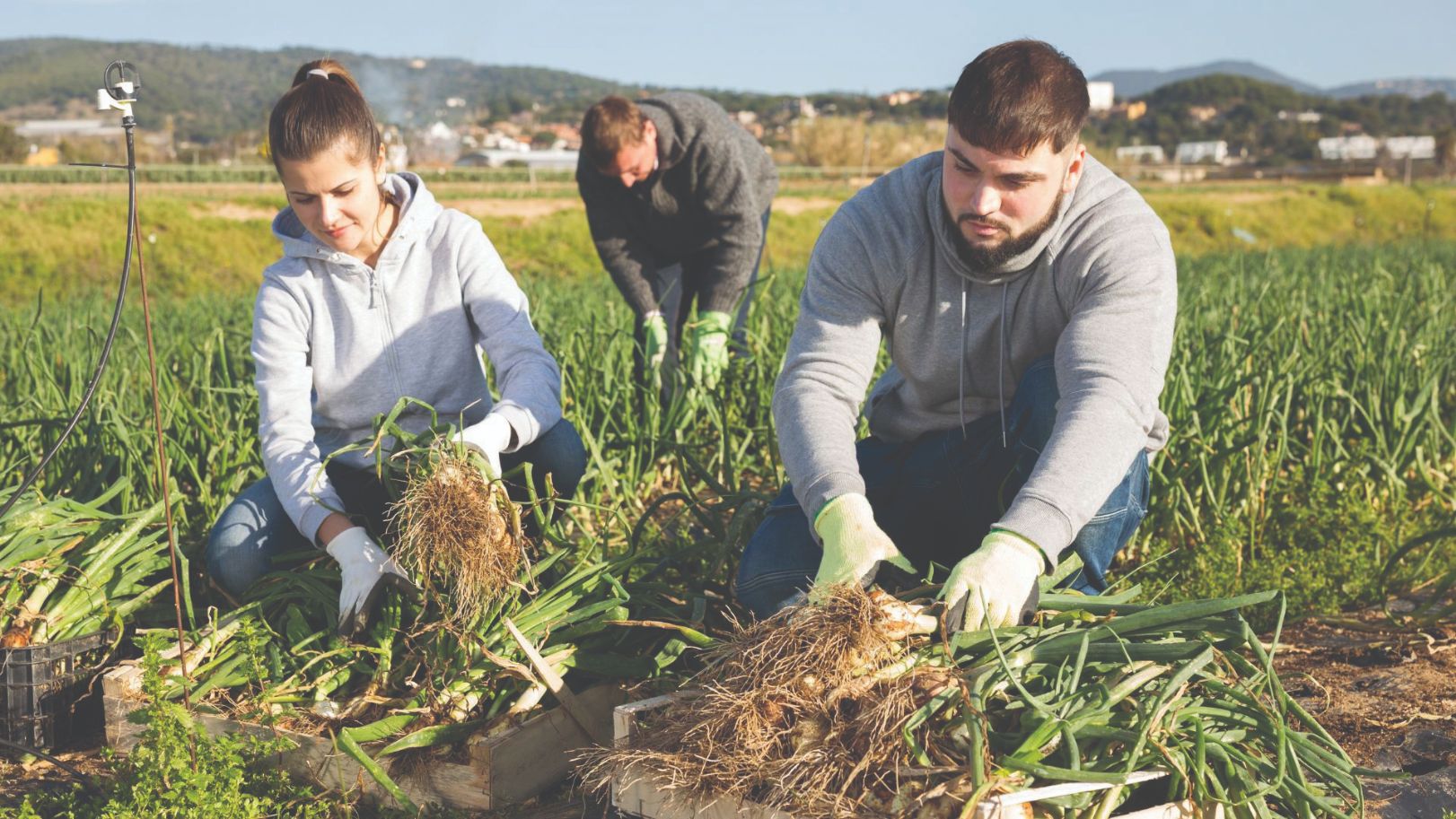 opstanak poljoprivrede mladi poljoprivrednici generacijska obnova