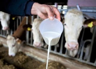 rast otkupnih cijena mlijeka rast cijena mlijeka
