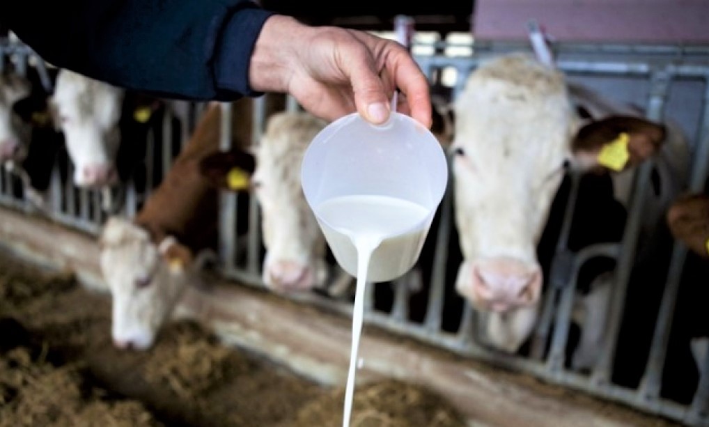 rast otkupnih cijena mlijeka rast cijena mlijeka