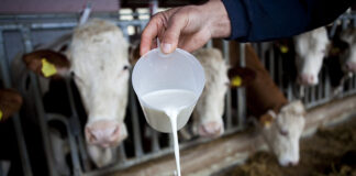 Otkupljeno i donirano 20 tona mliječnih proizvoda!