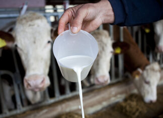 Otkupljeno i donirano 20 tona mliječnih proizvoda!