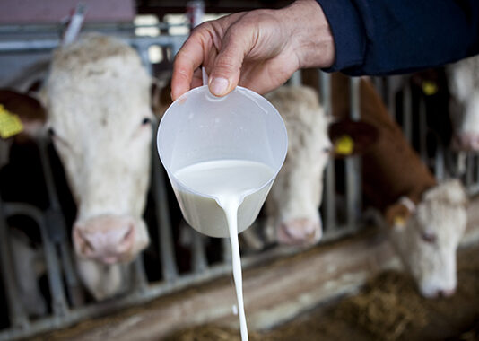 Otkupljeno i donirano 20 tona mliječnih proizvoda!