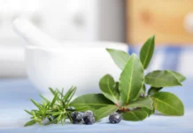 Ljekovite drvenaste vrste