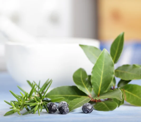 Ljekovite drvenaste vrste