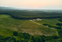 6 medalja za poznatu slavonsku vinariju