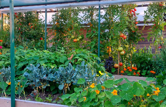 Zaštita i jačanje biljaka u ukrasnom vrtu i povrtnjaku s Bio Plantellom