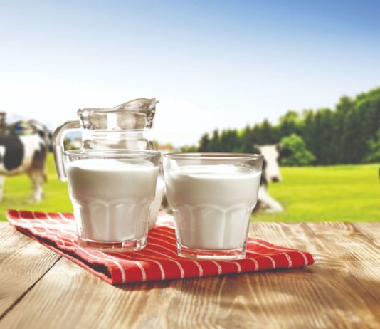 sektor govedarstva proizvodnja mlijeka