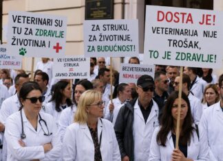 Je li ovo samo vrh sante leda prema kojoj plovi veterinarski „Titanic“?