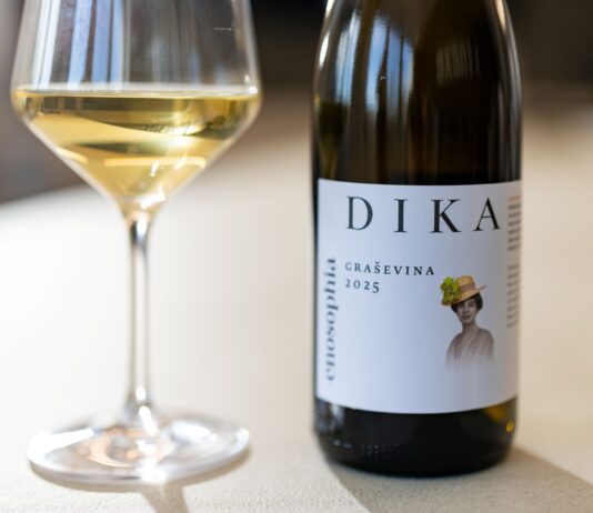 Vina Dika nove berbe 2025