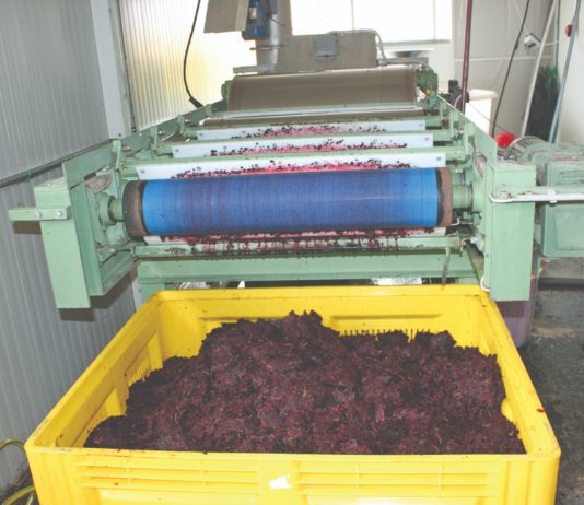 ulaganja u preradu marketing i razvoj poljoprivrednih proizvoda