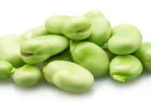 Bob – mahunarka koju bi trebalo više sijati