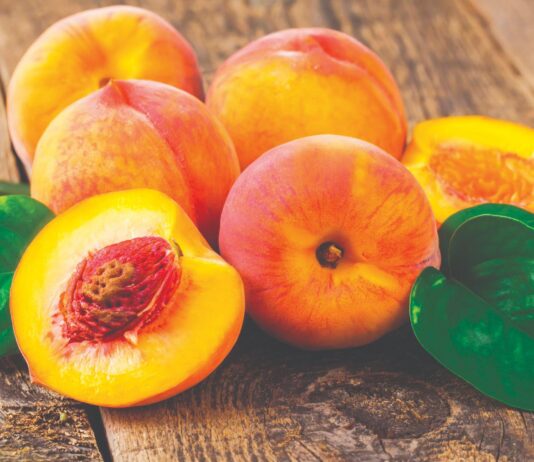 Breskva – donosi ljetno osvježenje i zaradu