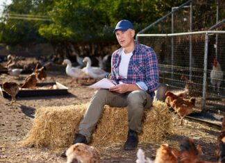 Administracija guši dopunske djelatnosti OPG-a koji teško drže korak