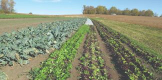 dobre poljoprivredne prakse dobre prakse u poljoprivredi