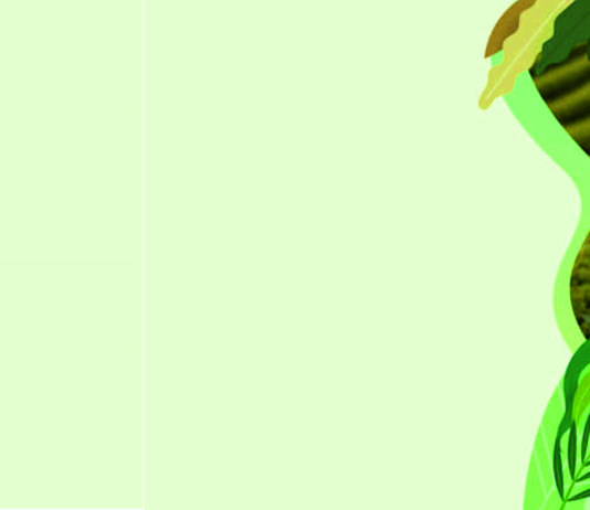 prilika za hrvatsku poljoprivrednu proizvodnju