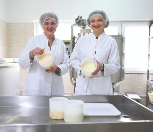 ivekov kutićek uredile kušaonicu sira