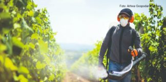 ekološka zaštita vinograda zaštita ekološkog vinograda