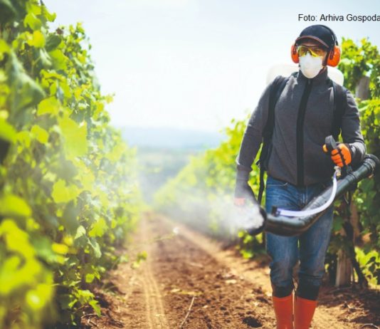 ekološka zaštita vinograda zaštita ekološkog vinograda