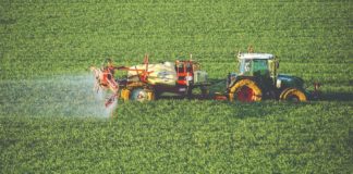 gnojidba pšenice primjena dušičnih gnojiva s produženim učinkom