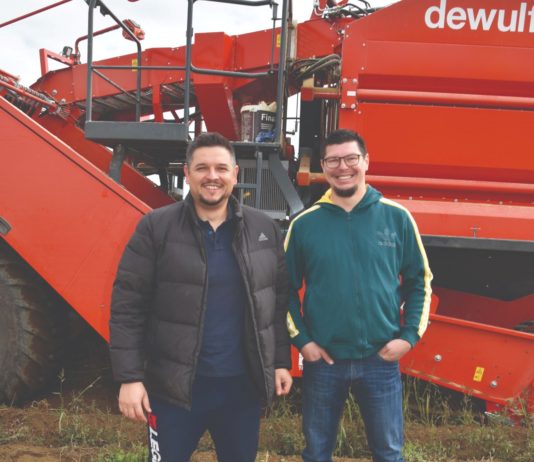 proizvođači krumpira belpak